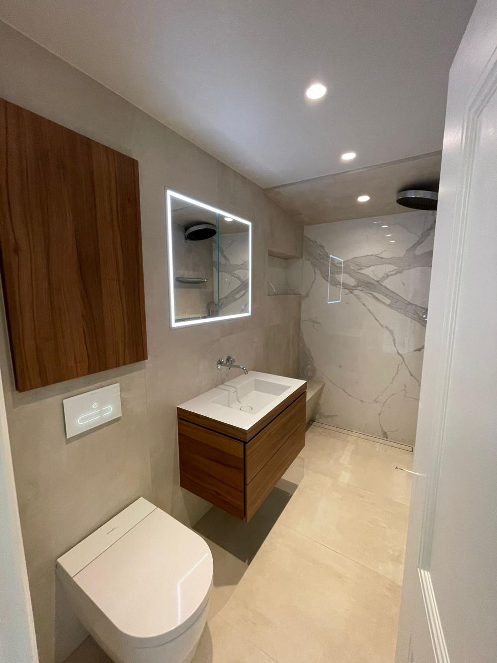 Full house renovation, Platt’s lane NW3 - image 10